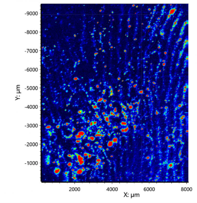 Raman map of a fingerprint with trace evidence analysis of paracetamol